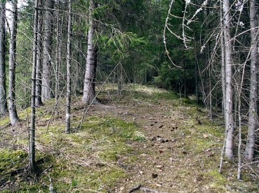 Targių ozai